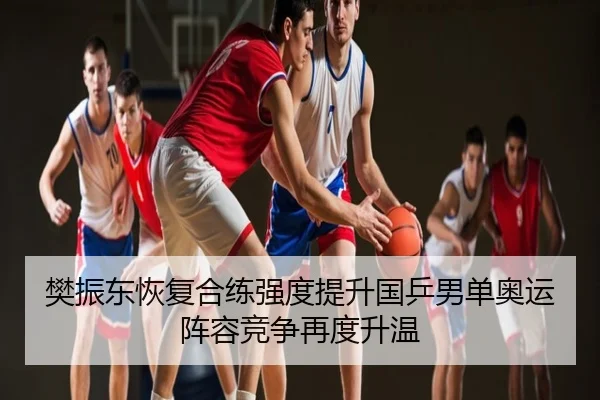 樊振东恢复合练强度提升国乒男单奥运阵容竞争再度升温